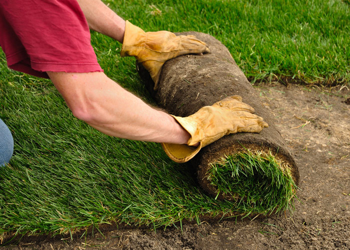 Sod / Hydroseed Installation