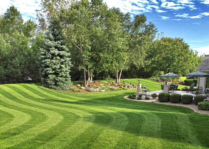 Weekly Lawn Cutting